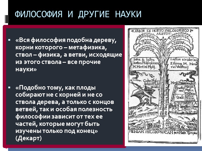 ФИЛОСОФИЯ И ДРУГИЕ НАУКИ  «Вся философия подобна дереву, корни которого – метафизика, ствол